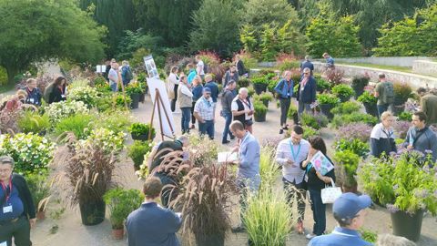 Les participants à la seizième édition des Carrés fleuris ont pu admirer quelques variétés, réparties ici par couleur. ©Léna Hespel